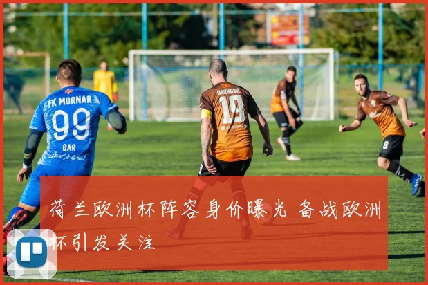 荷兰欧洲杯阵容身价曝光 备战欧洲杯引发关注