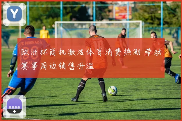 欧洲杯商机激活体育消费热潮 带动赛事周边销售升温