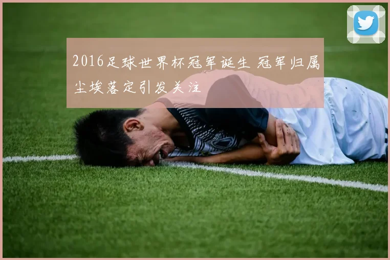 2016足球世界杯冠军诞生 冠军归属尘埃落定引发关注